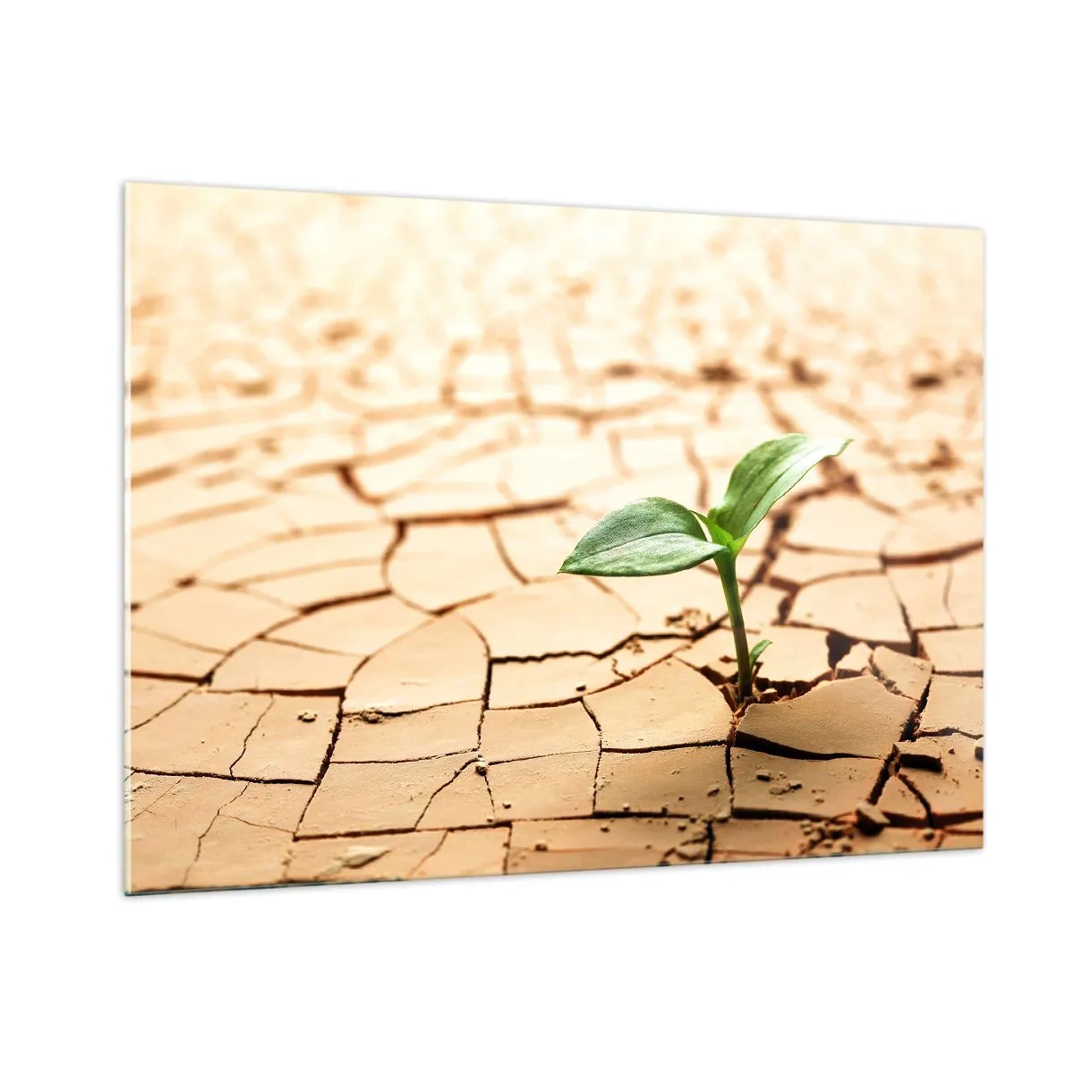 Schilderen op glas - De ontembare kracht van het leven - 100x70 cm