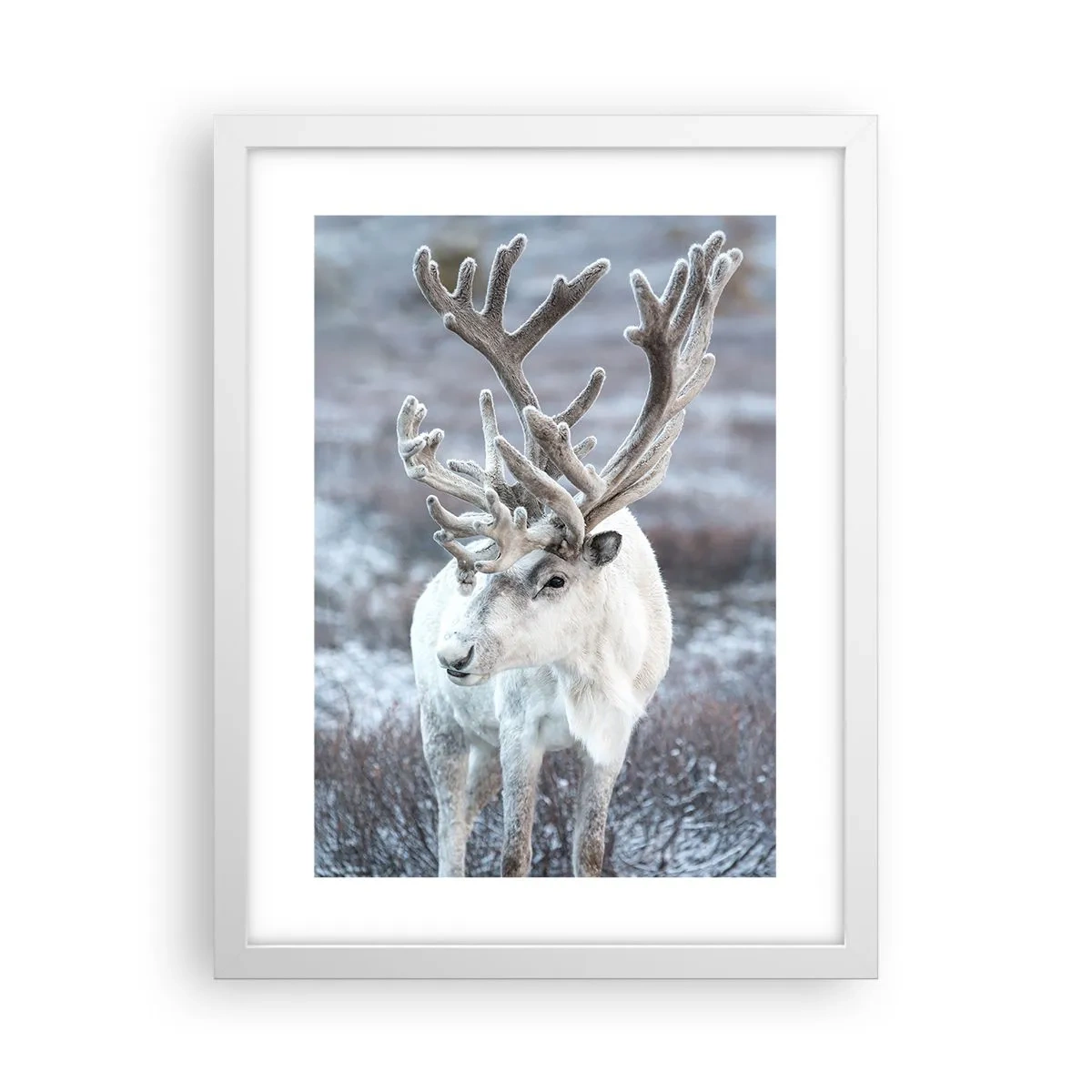 Poster in een witte lijst - Portret in de zon - 30x40 cm