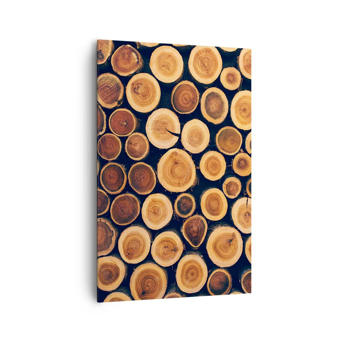 Schilderen op canvas - Hoe oud zie ik eruit? - 80x120 cm