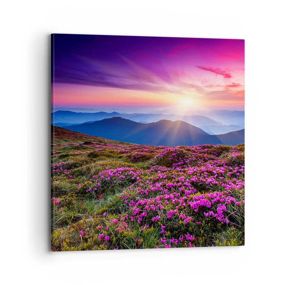 Schilderen op canvas - Kruiden roken naar verse trossen van de velden - 70x70 cm