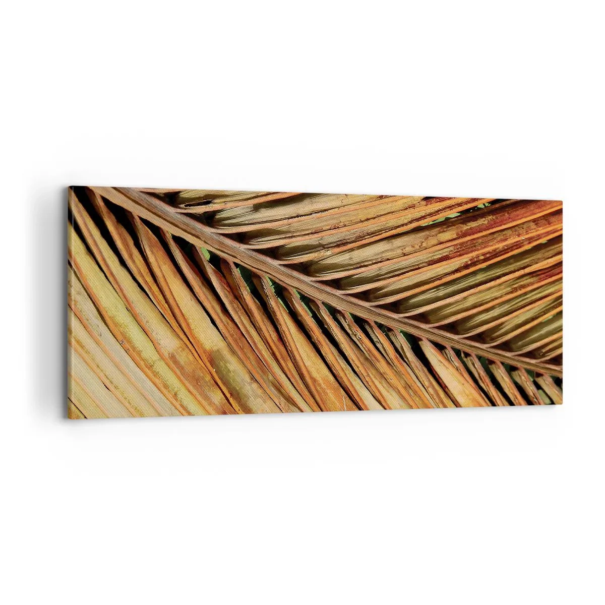 Schilderen op canvas - Kokos goud - 100x40 cm