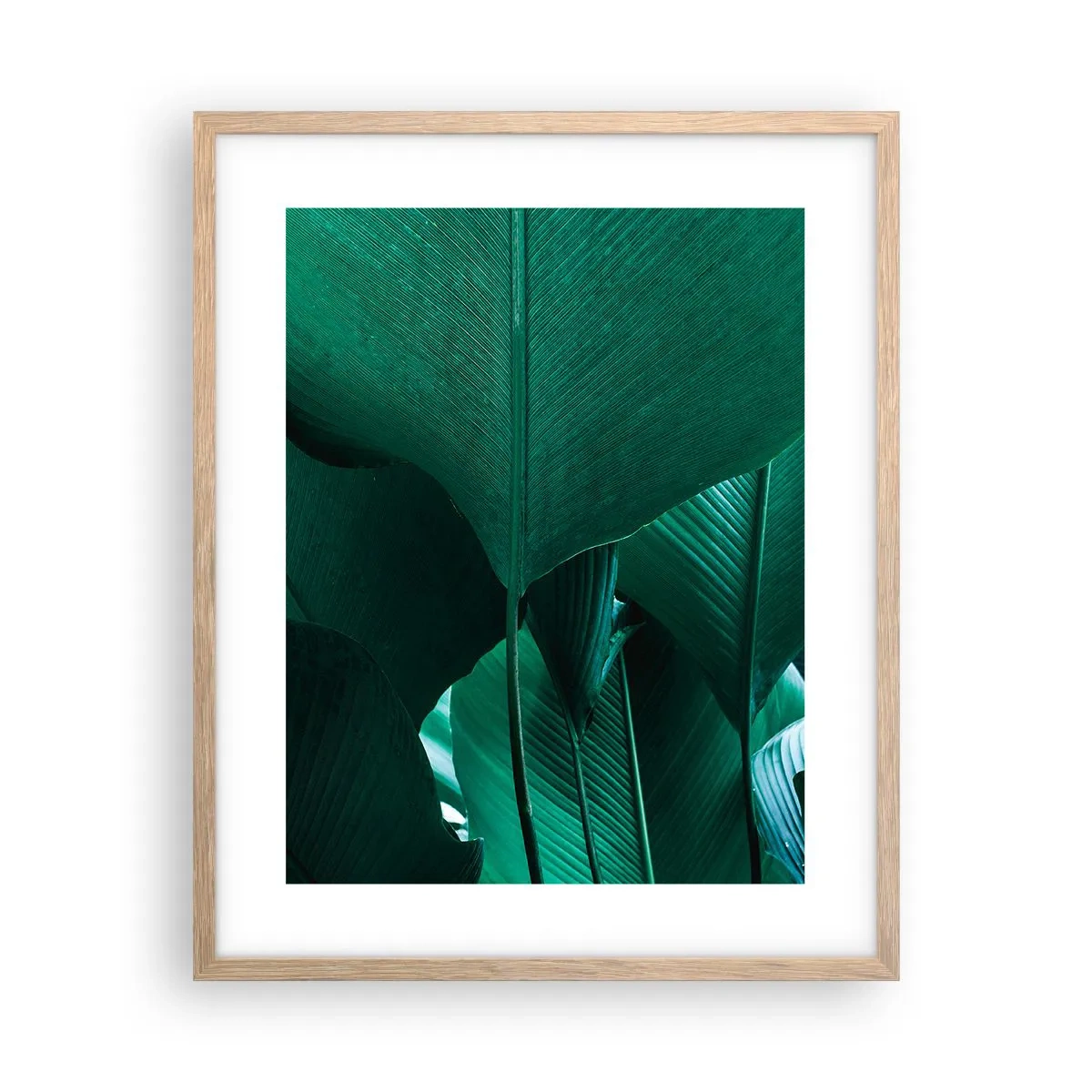 Een poster in een licht eiken lijst - Naar het licht gekeerd - 40x50 cm