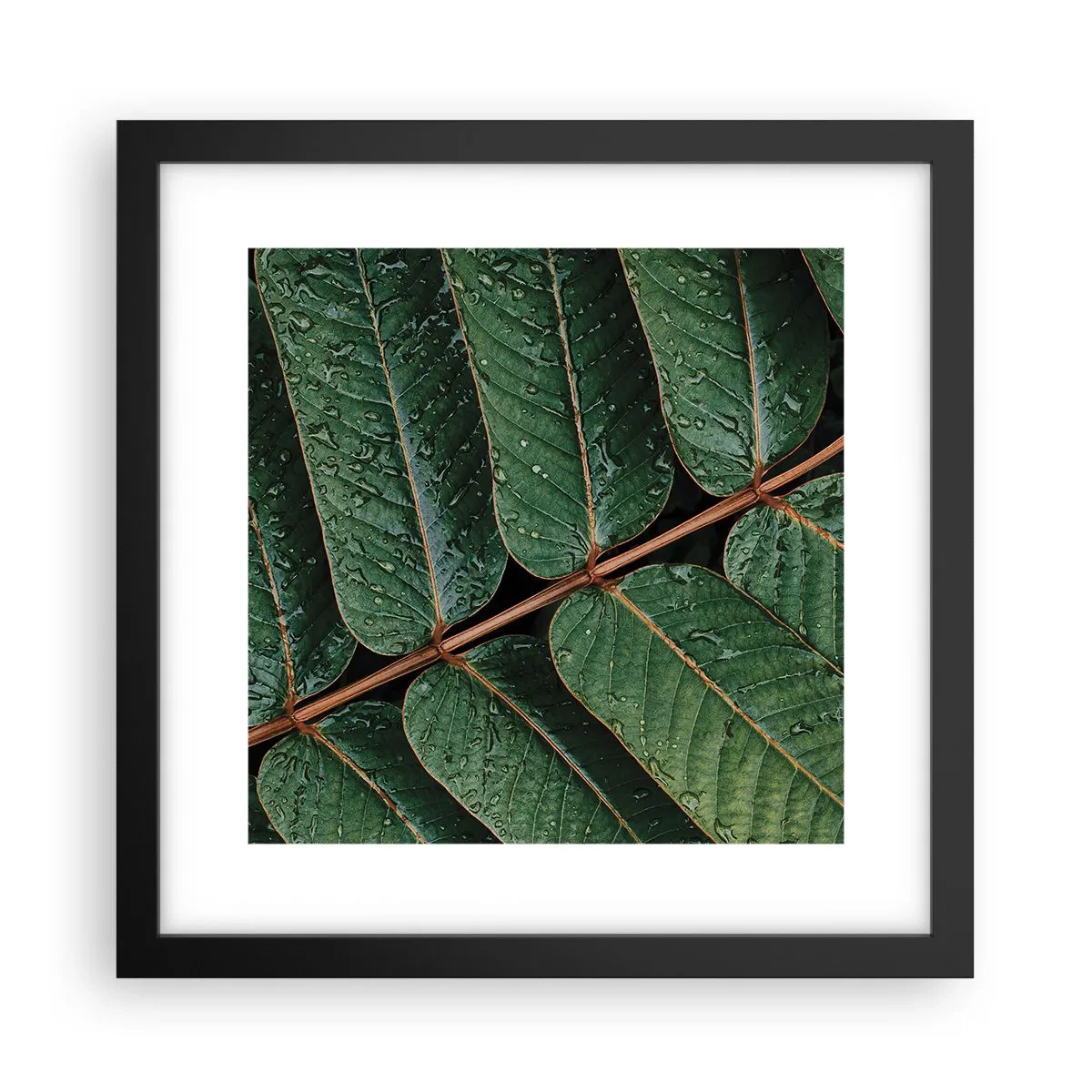 Poster in een zwarte lijst - In een groen ritme - 30x30 cm