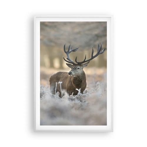 Poster in een witte lijst - Een frisse ochtend - 61x91 cm