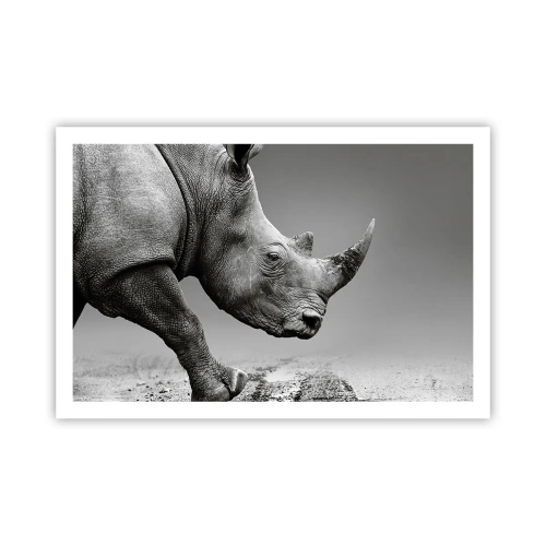 Poster - Onstuitbare kracht - 91x61 cm