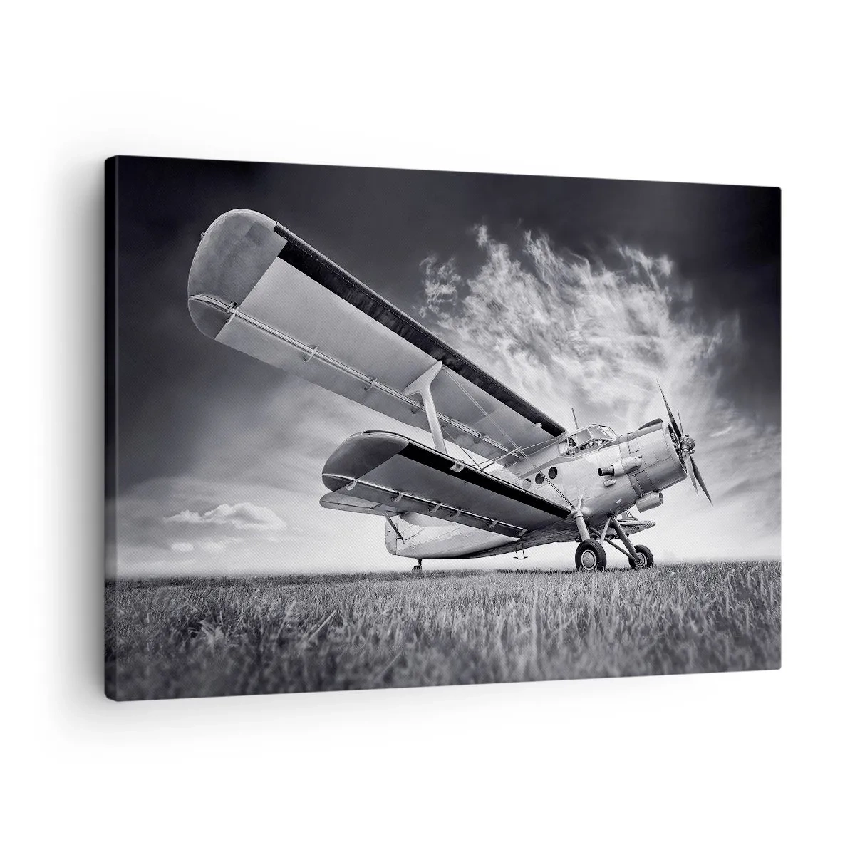 Schilderen op canvas - De gevleugelde zwerver - 70x50 cm