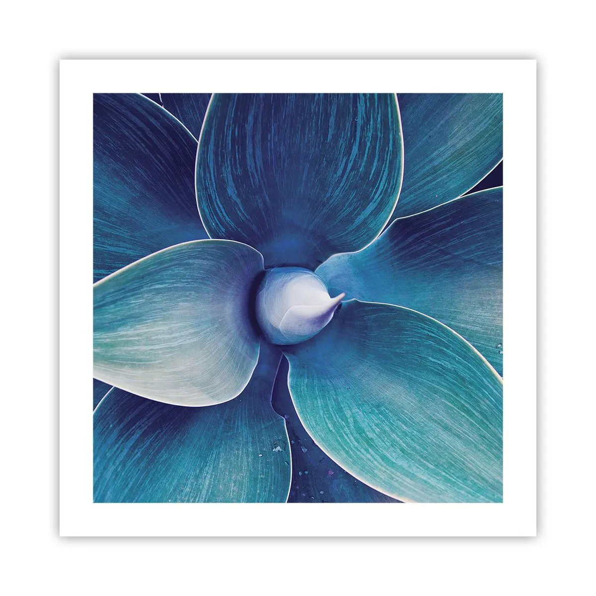 Poster - Blauw uit de lucht - 50x50 cm