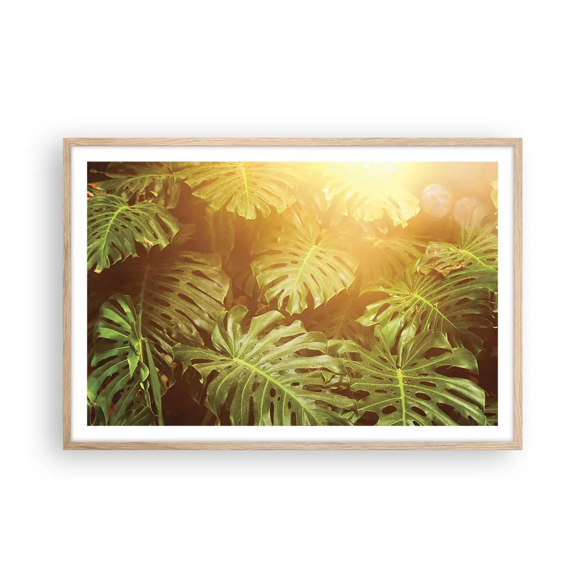 Een poster in een licht eiken lijst - In het groen treden... - 91x61 cm