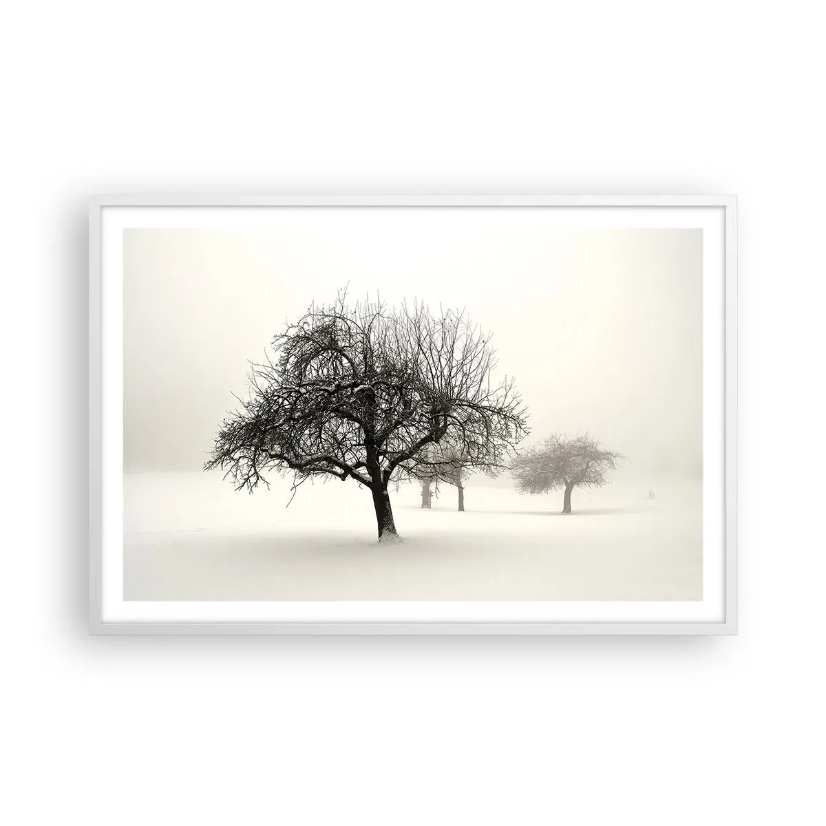 Poster in een witte lijst - Winterslaap - 91x61 cm