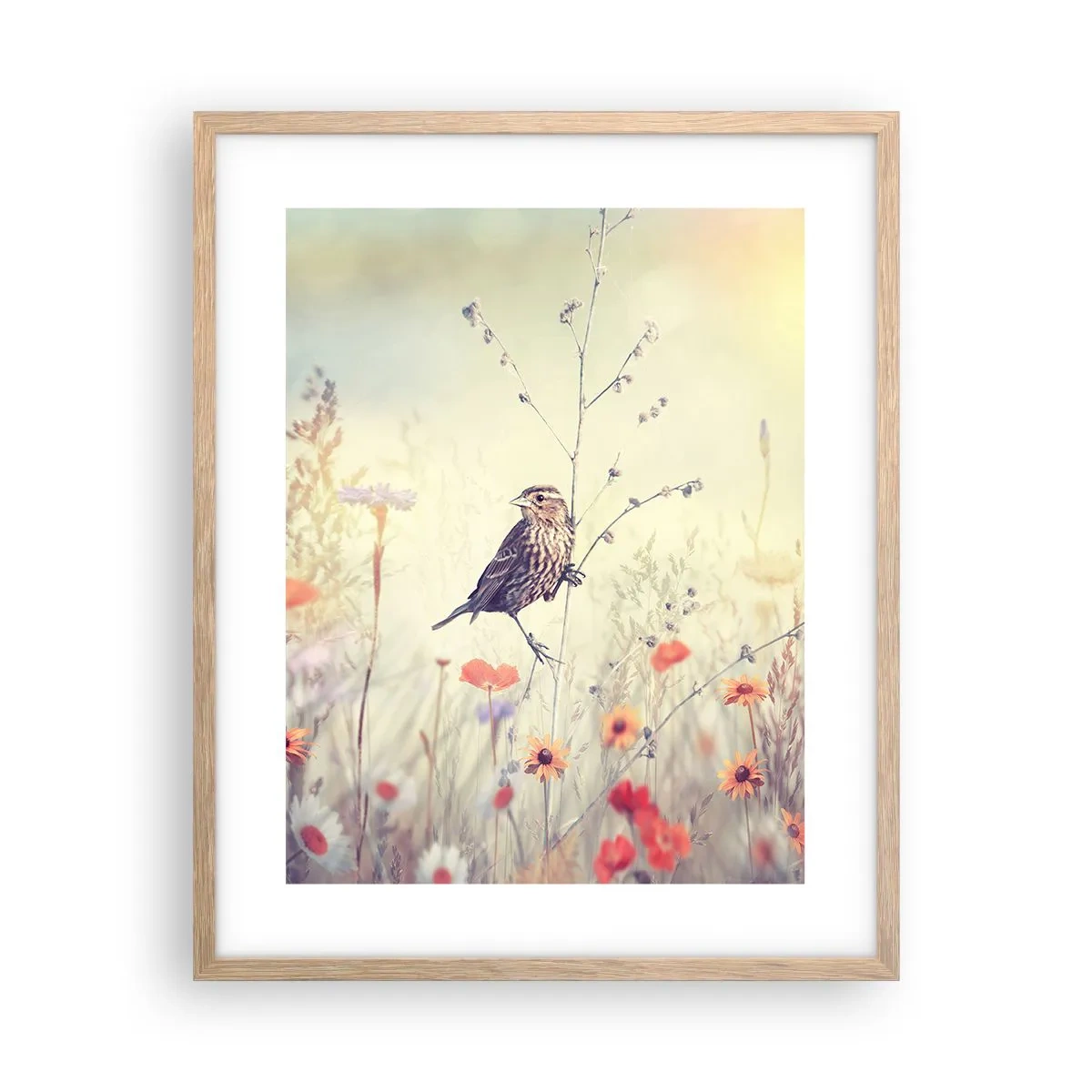 Een poster in een licht eiken lijst - Vogelportret met een weiland op de achtergrond - 40x50 cm
