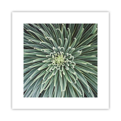 Poster - Een ster is geboren - 30x30 cm