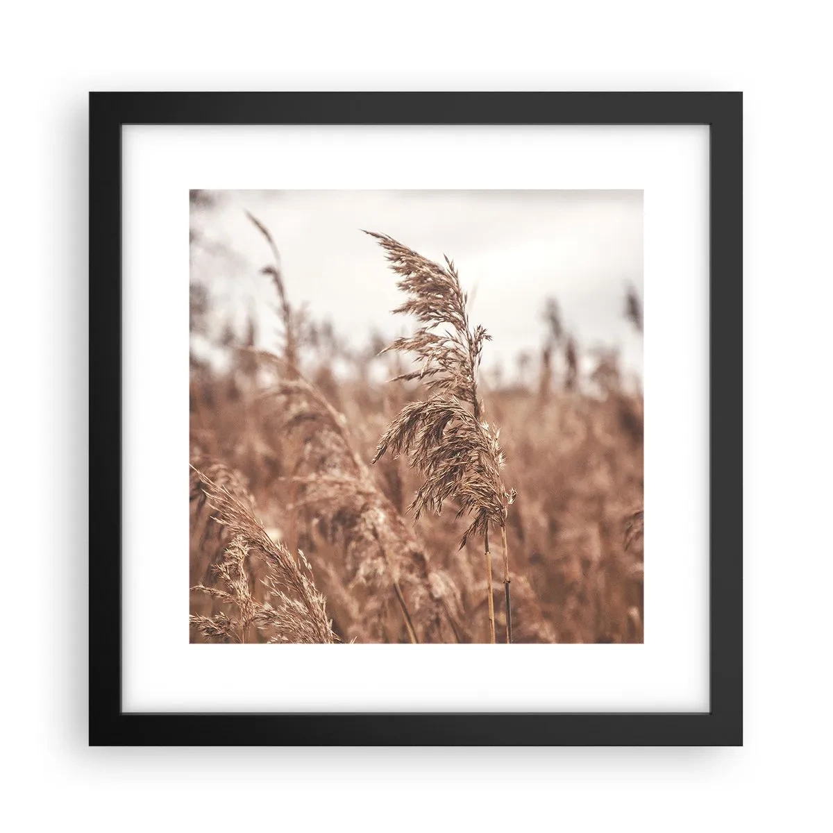 Poster in een zwarte lijst - Het is al herfst in de velden - 30x30 cm
