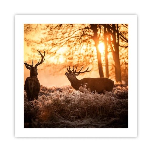 Poster - De droom van een jager - 50x50 cm