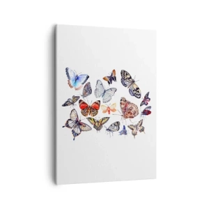 Schilderen op canvas - Kanten, kleurrijke zwerm - 50x70 cm