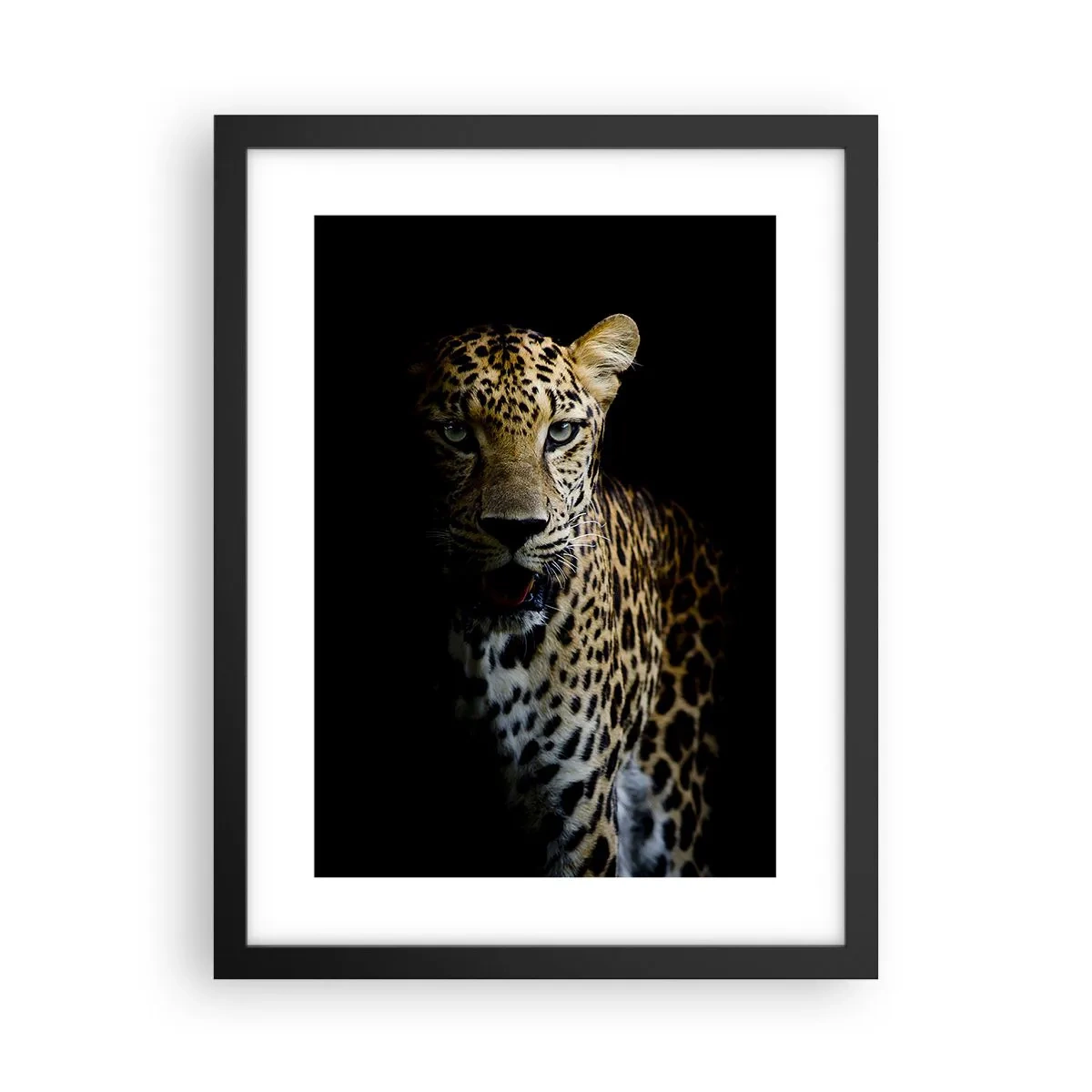 Poster in een zwarte lijst - Donkere schoonheid - 30x40 cm