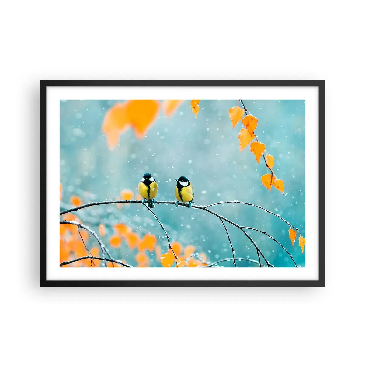 Poster in een zwarte lijst - Vogelroddel - 70x50 cm