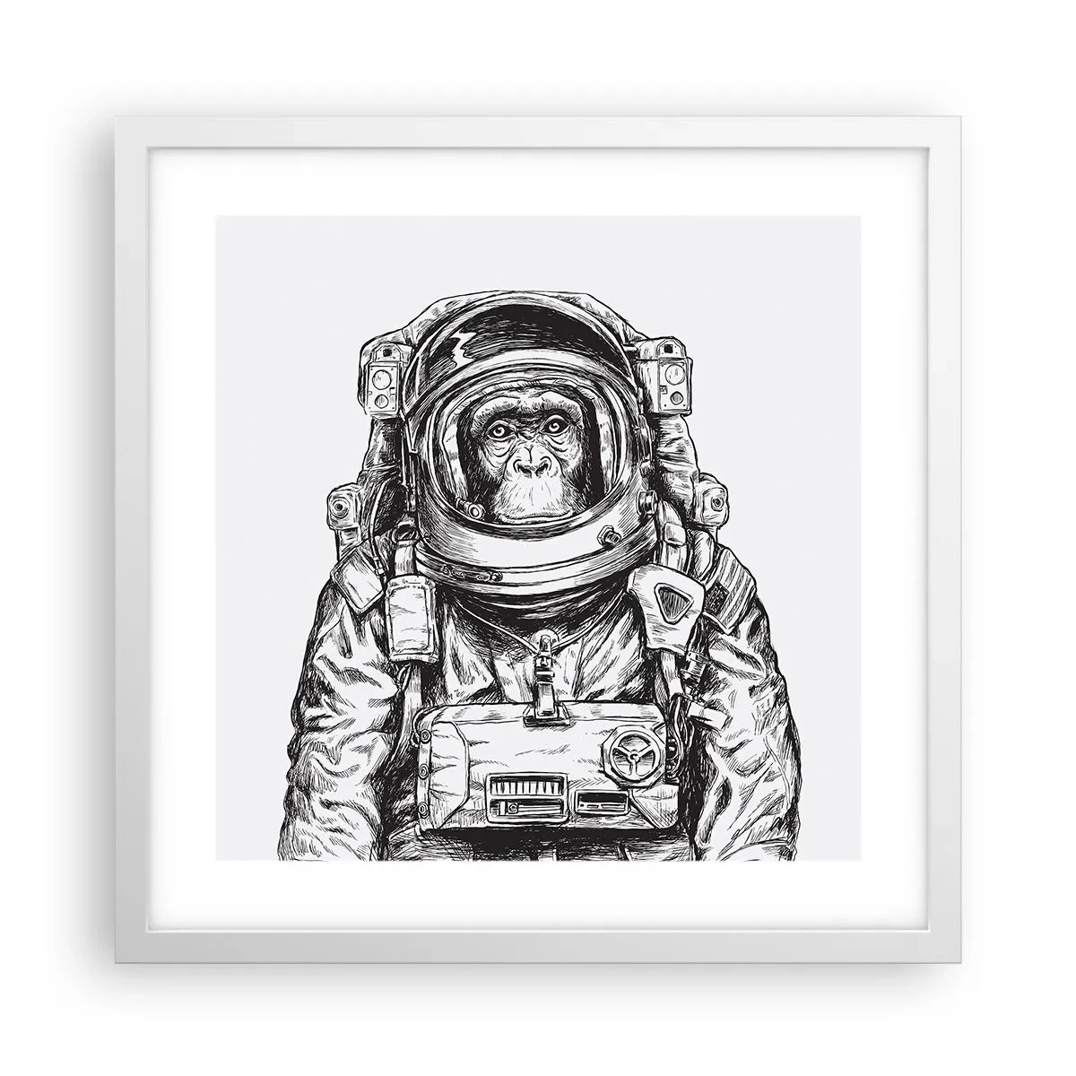 Poster in een witte lijst - Alternatieve evolutie - 40x40 cm