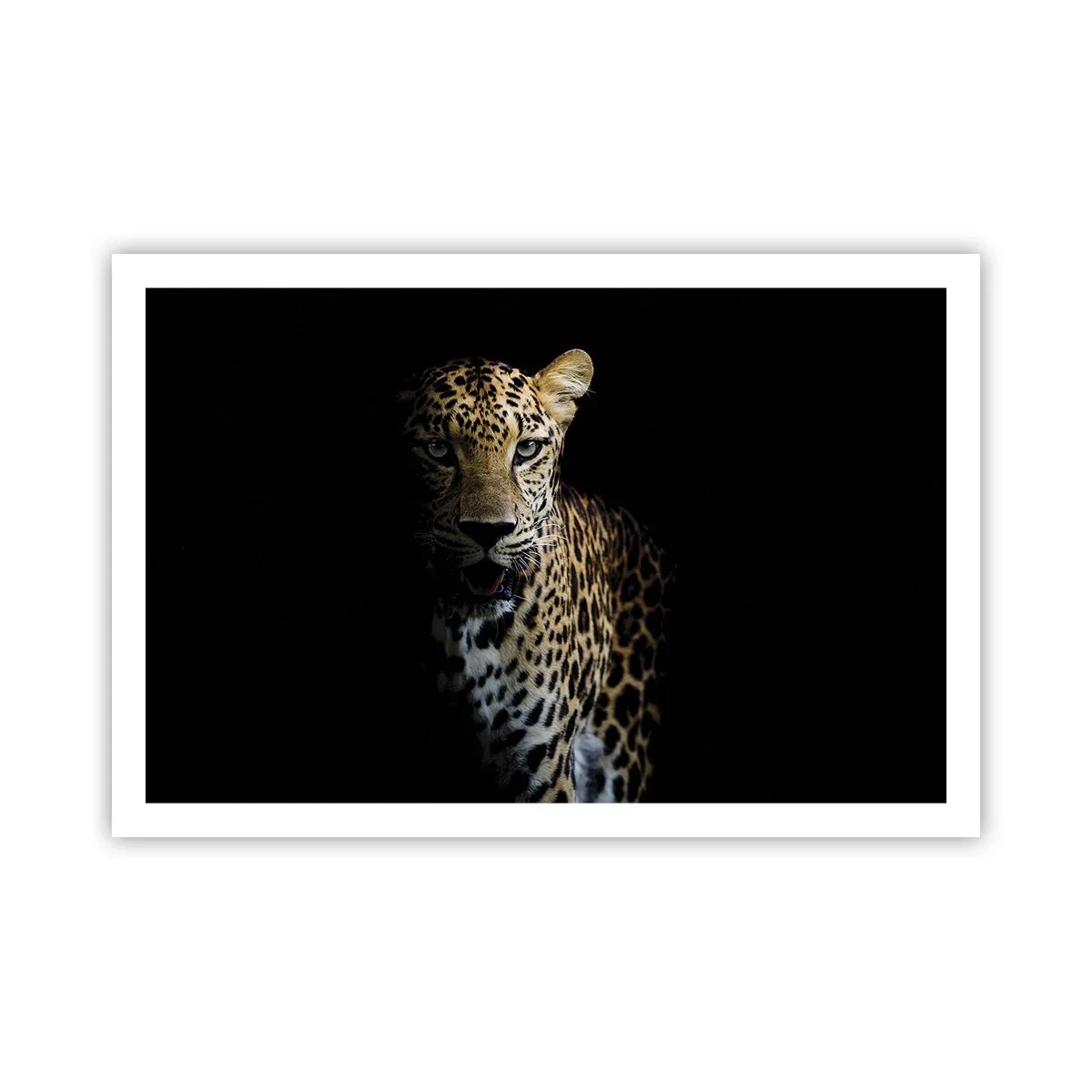 Poster - Donkere schoonheid - 91x61 cm