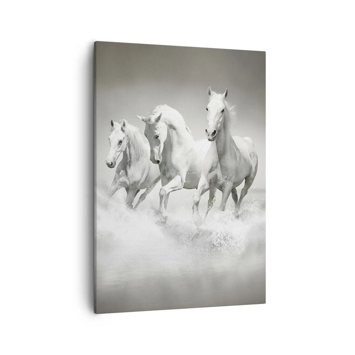 Schilderen op canvas - Witte waanzin - 50x70 cm