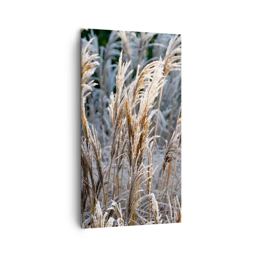 Schilderen op canvas - Gekleed met vorst - 45x80 cm