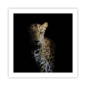 Poster - Donkere schoonheid - 50x50 cm