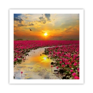 Poster - Het geheime leven van het meer - 60x60 cm