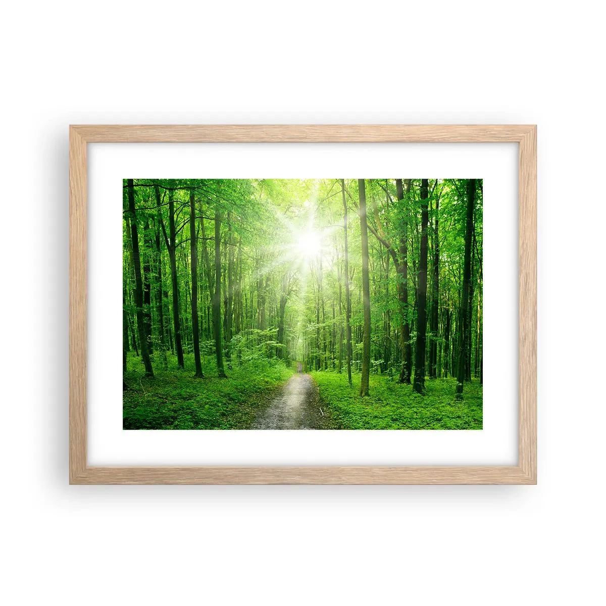 Een poster in een licht eiken lijst - De groene kathedraal - 40x30 cm