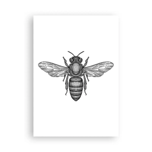 Poster - Insectenportret - 70x100 cm