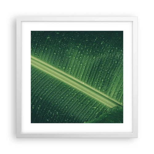 Poster in een witte lijst - De structuur van groen - 40x40 cm