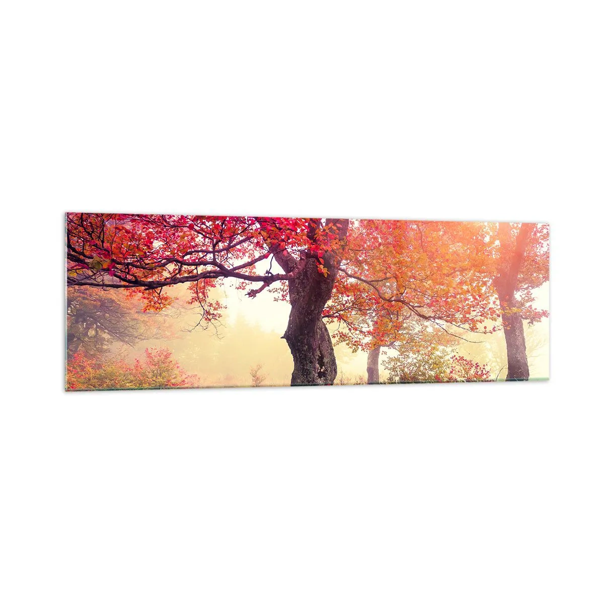 Schilderen op glas - Bloeiende razernij - 160x50 cm