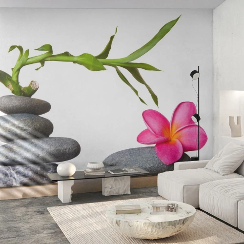 Fotobehang Premium Canvas - Kleuren van leven en duur - Bloem, Stenen, Spa - 400x280 cm