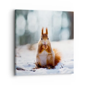 Schilderen op canvas - Waar kijk je naar? - 30x30 cm