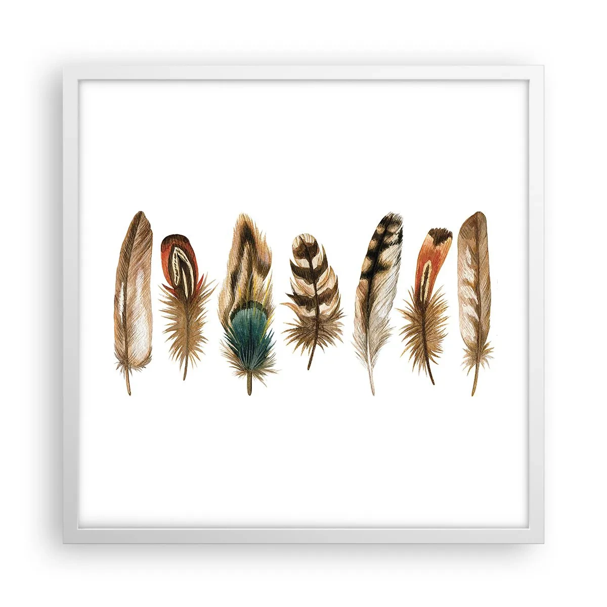Poster in een witte lijst - Een gevederde variatie - 50x50 cm