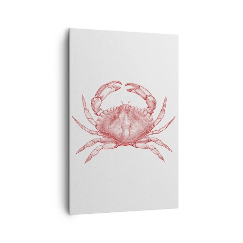 Schilderen op canvas - Krab der krabben - 80x120 cm