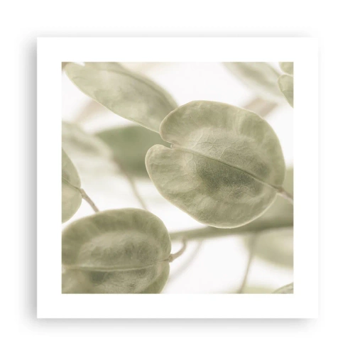 Poster - In het begin waren er bladeren... - 40x40 cm