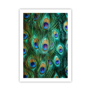 Poster - Een pauwenooglook - 50x70 cm
