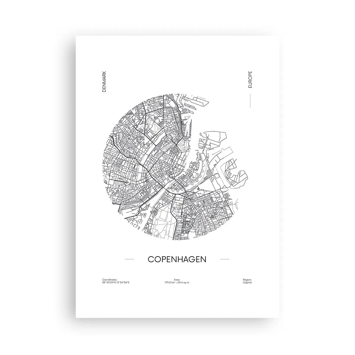 Poster - Anatomie van Kopenhagen - 50x70 cm