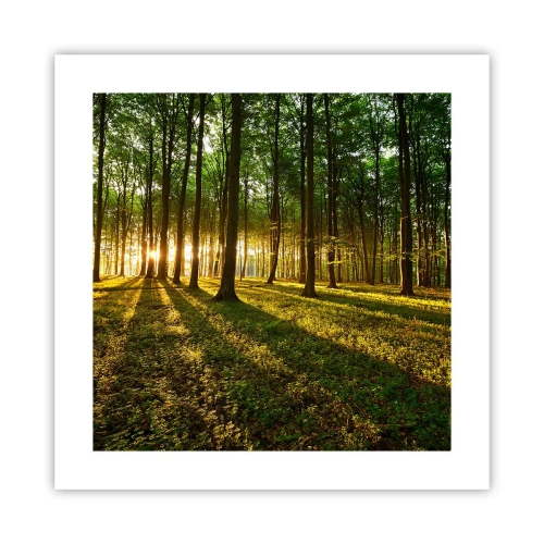 Poster - Foto van de hele lente - 40x40 cm