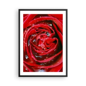 Poster in een zwarte lijst - Close-up van een rode roos met waterdruppels - 50x70cm - In de dauwdruppels - Moderne wanddecoratie voor woonkamer en slaapkamer ARTTOR