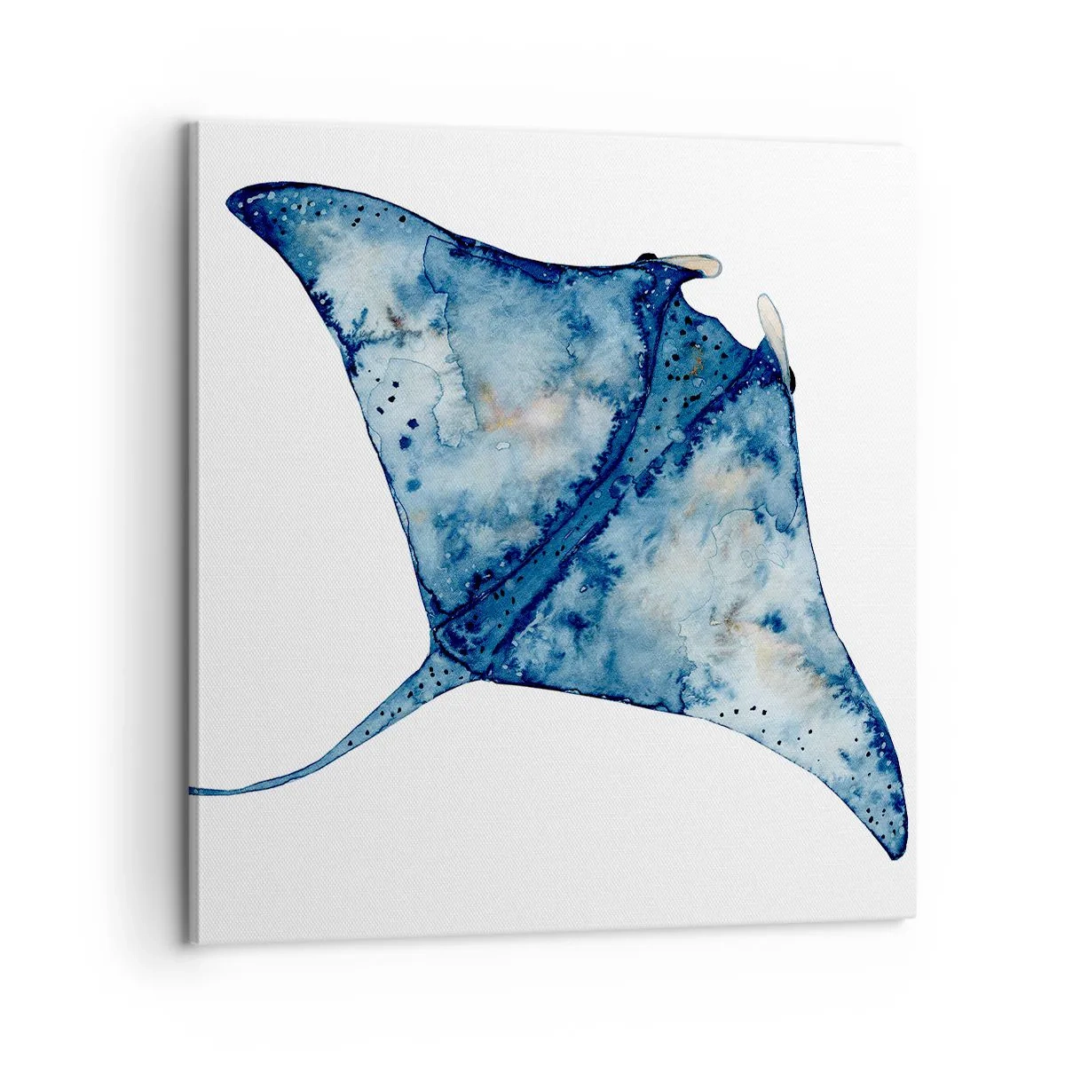 Schilderen op canvas - Leven in blauw - 60x60 cm