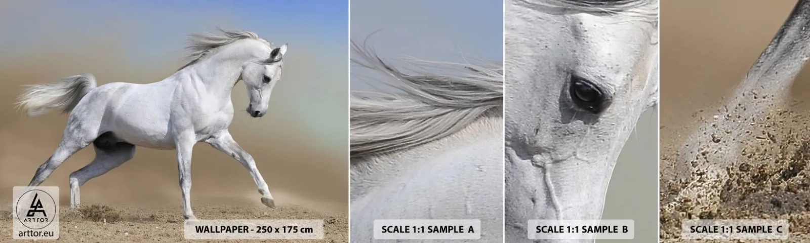 Fotobehang Staaltje Standard Eco - Het mooiste Arabische sprookje - Paard, Dieren, Galop - 100x30 cm