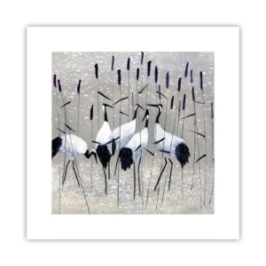 Poster - Onder hun eigen - 30x30 cm