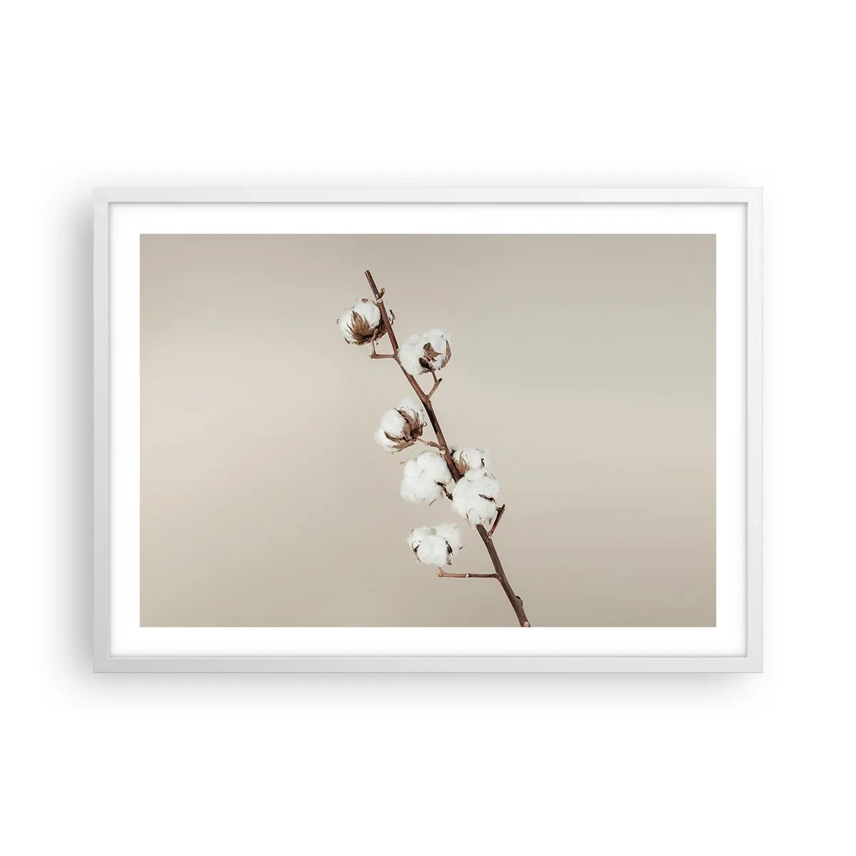 Poster in een witte lijst - Aan de bron van zachtheid - 70x50 cm