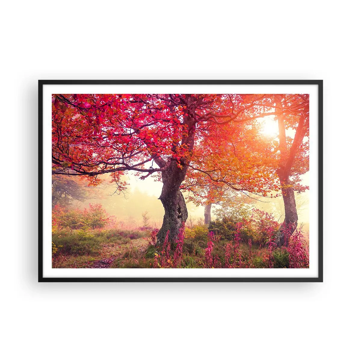 Poster in een zwarte lijst - Bloeiende razernij - 100x70 cm