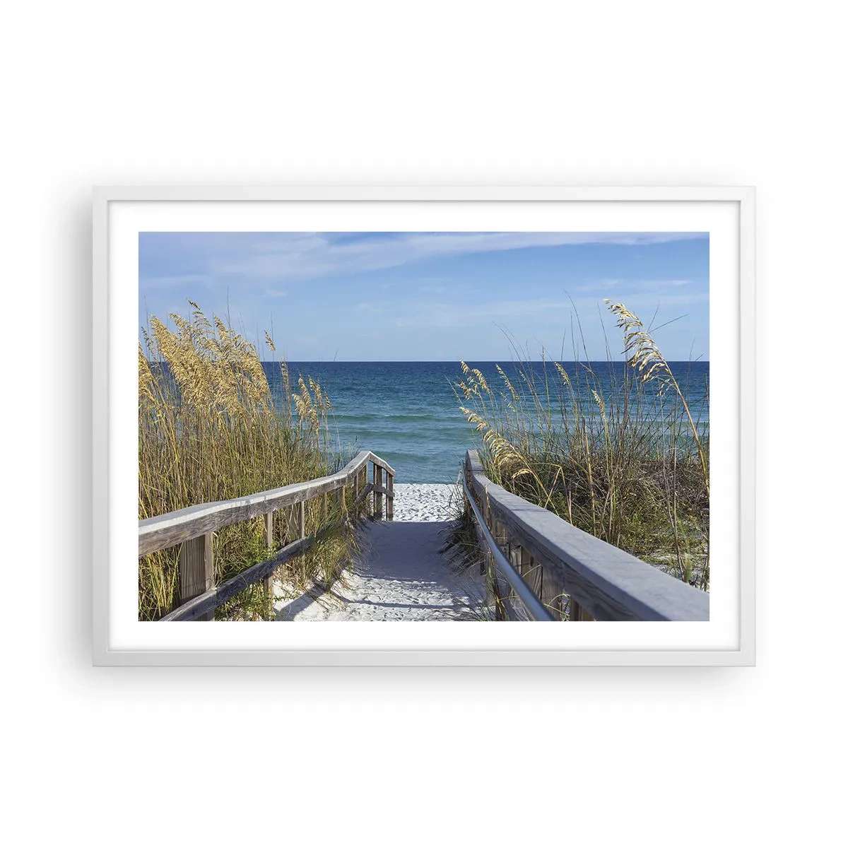 Poster in een witte lijst - In de zon, in de wind - 70x50 cm