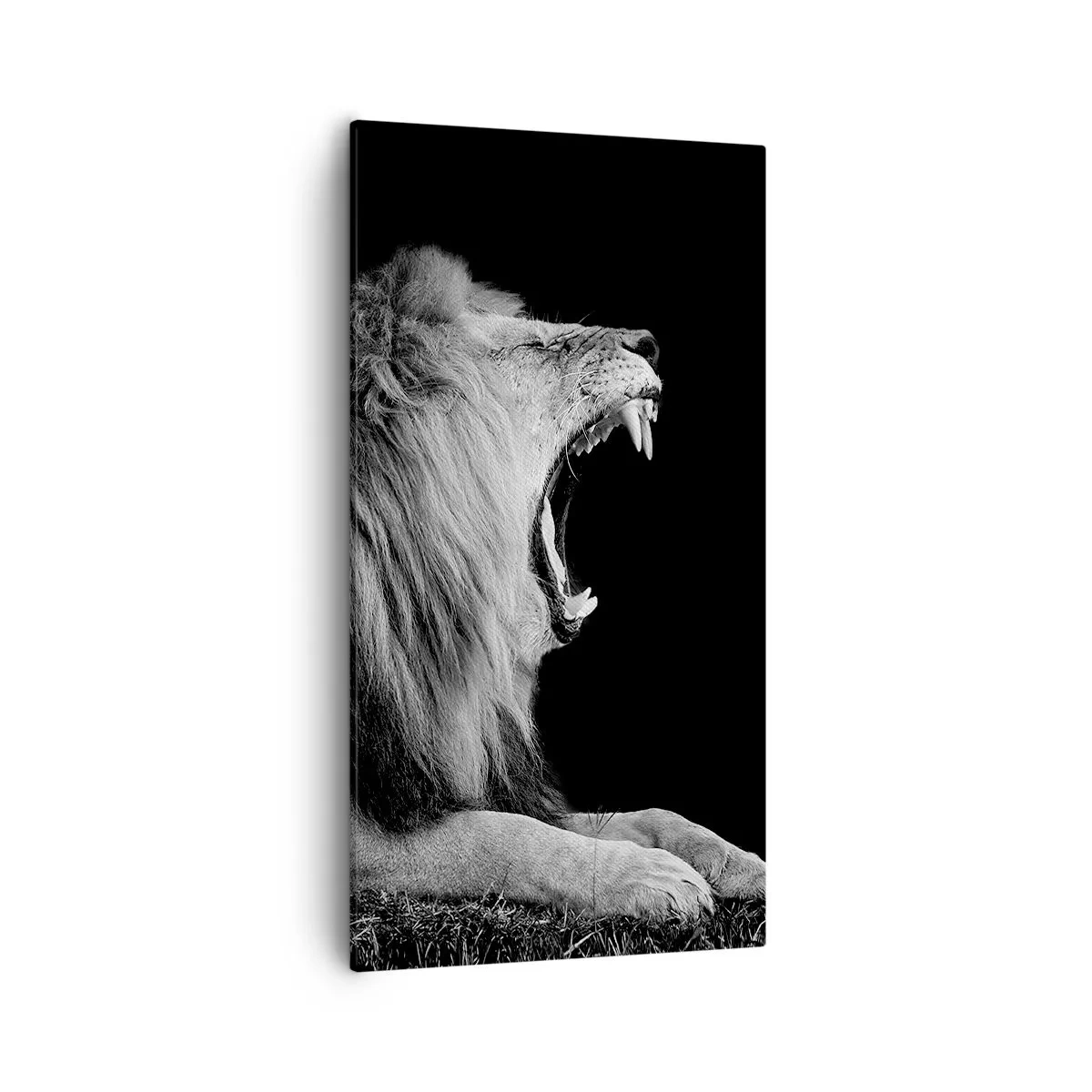 Schilderen op canvas - Zonder enige twijfel - 55x100 cm