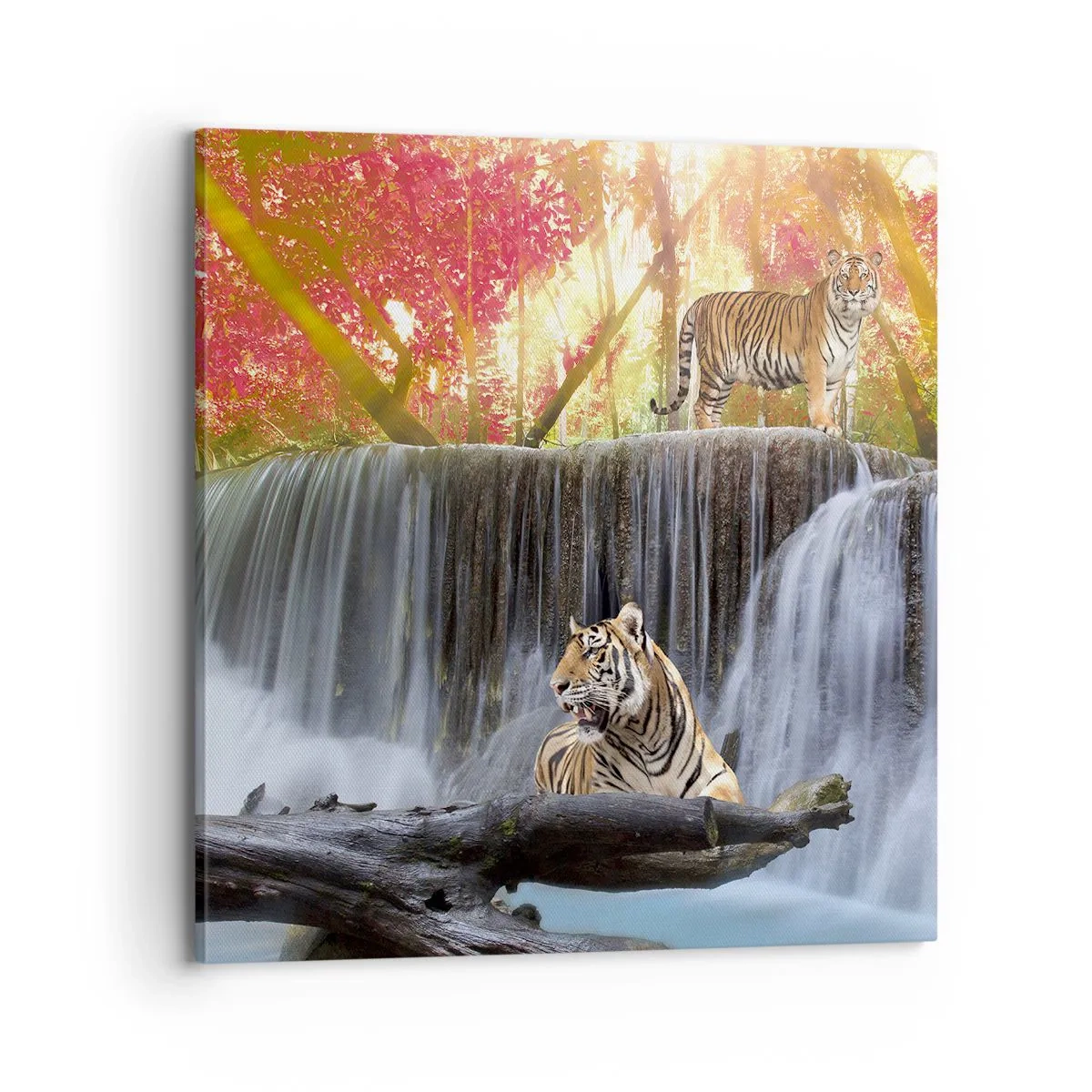 Schilderen op canvas - Surrealistisch landschap - 70x70 cm