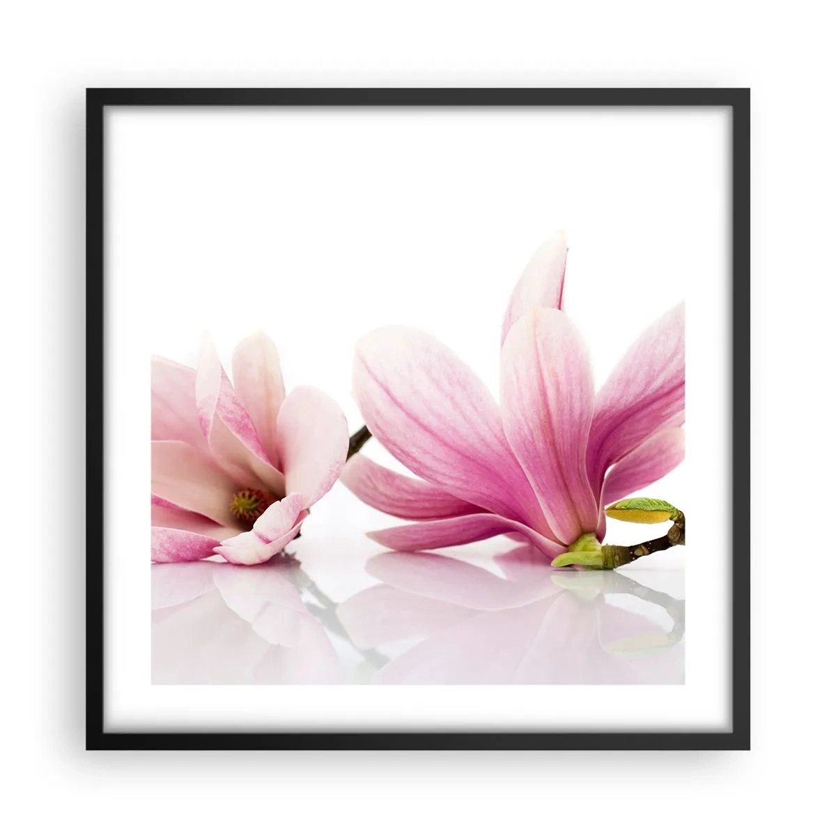 Poster in een zwarte lijst - Delicaat als een lentebriesje - 50x50 cm