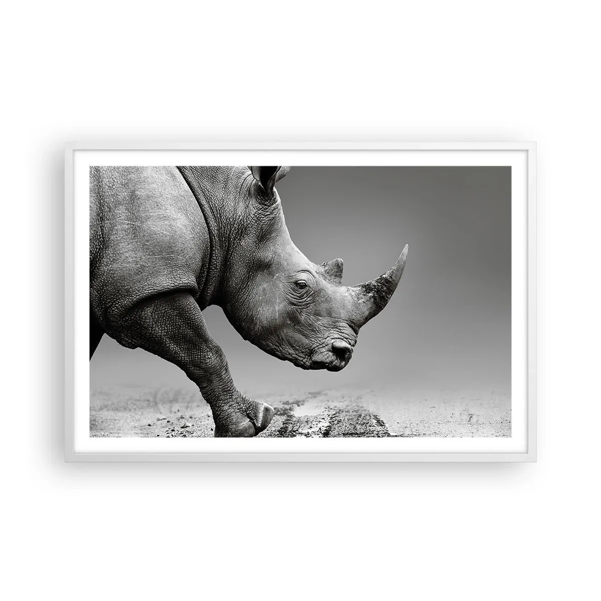 Poster in een witte lijst - Onstuitbare kracht - 91x61 cm