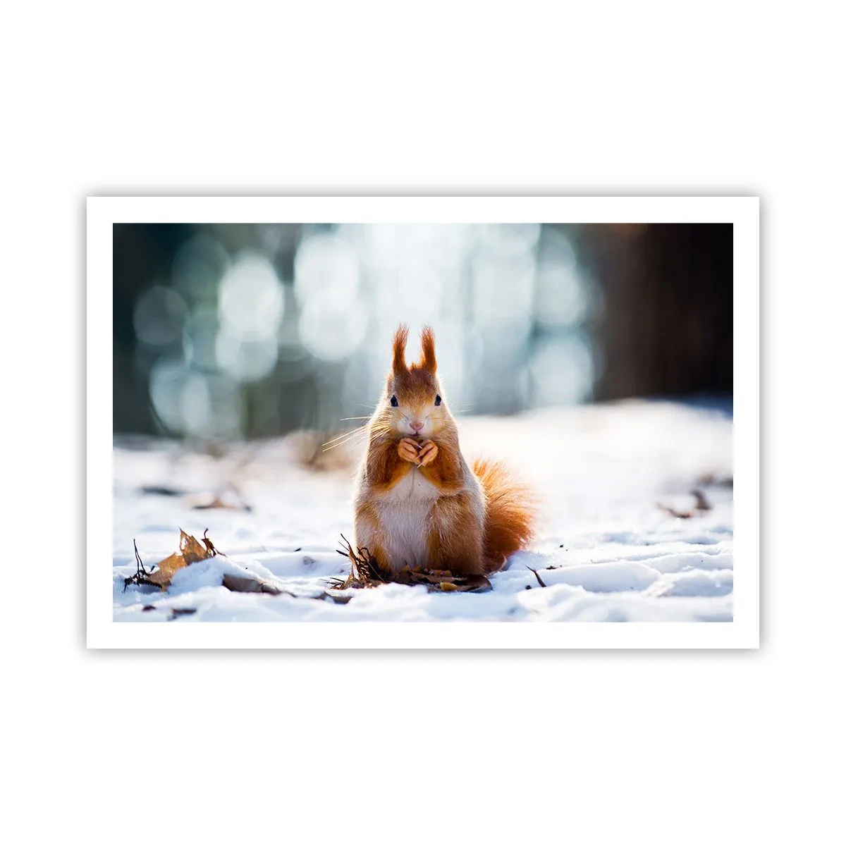 Poster - Waar kijk je naar? - 91x61 cm